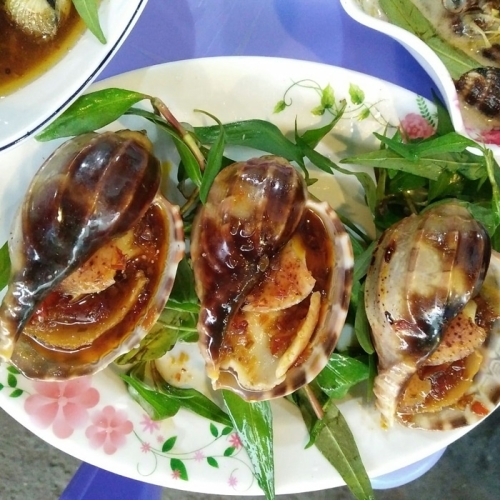 oc-khe-theo-thoi-gia